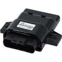Briggs & Stratton Module, electronic control 84001977