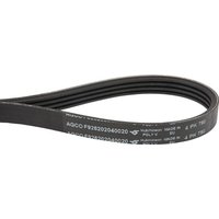 Fendt (AGCO) V-belt F926202040020