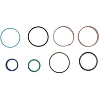 Weidemann Seal kit 1000279547