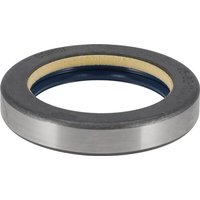 Kramer Shaft seal 1000476373