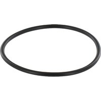 CNH O-Ring 84417142