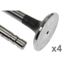Vapormatic Exhaust valve (x4) VPA1501