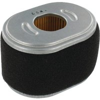 Briggs & Stratton Air filter Oval 590601