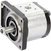 Casappa Pump PLP30.38D0-56B3-LBM/BL-N PLP3038D056B3