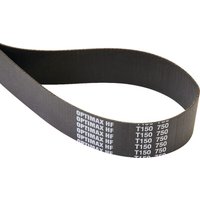 Tielbürger Flat belts HC010049