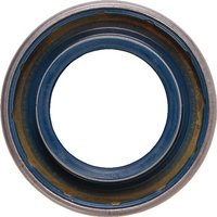 Spicer Dana Ring 000051784