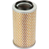 MANN-FILTER Air filter Mand H C13131