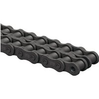Tsubaki Roller chain dupl. 1 x 17.02 RS16B2