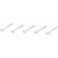 Screw set 3600020