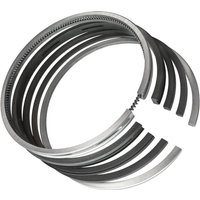 Vapormatic Piston - 5 rings ring set VPB4013