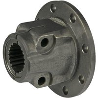 Carraro Forgings, flange CI643647