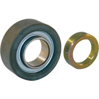 INA Bearing insert 30x65.1x25.4mm INA/FAG RCSMA3065FA106