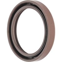 Agco Shaft seal X550109003000