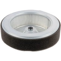 Honda Air filter 17210Z6L010