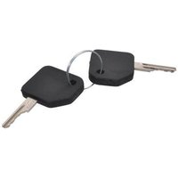 Case IH (CNH) Contact key (set 2x) 1964831C2