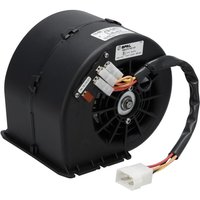 SPAL Single blower 12V, 009-A70-74D 30000555B