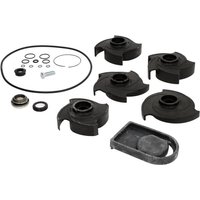 Banjo Repair kit 2" Poly pump 12000A