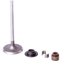 Briggs & Stratton Intake valve 843730
