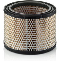 MANN-FILTER Air filter C19891