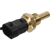 Massey Ferguson (AGCO) Fuel Sensor V836667732