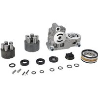 Tuff Torq Repair kit (without oil or sealant) 1A646098420DA