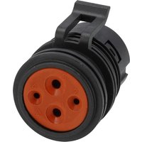 Powell Plug 4 pole, power connector PWPAPIL4CP