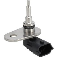 Weidemann Sensor 1000409596