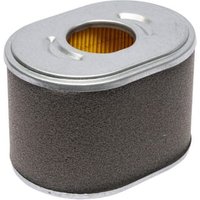 Briggs & Stratton A/C Cartridge filter 595435