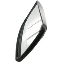 Ashtree Glass Mirror CA100820