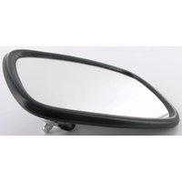Ashtree Glass Mirror CA101200