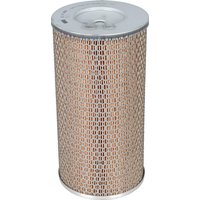 MANN-FILTER Air filter element C17250