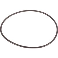 Carraro O-ring CI141938