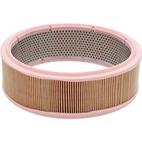 MANN-FILTER Air filter C2651