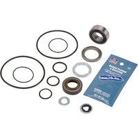 Hypro Kit hydraulic seal repair 34300748