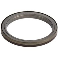 FPT Industrial Shaft seal 5801625924FPT