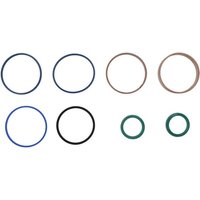 Weidemann Seal kit 1000269946