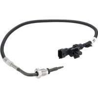 Weidemann Sensor 1000434046