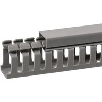 Tehalit Slotted cable trunking 40x25mm BA7400250