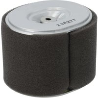 Honda Air cleaner element complete 17210Z5TW00