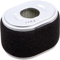 Honda Air cleaner element (dual filter) 17210Z1T621