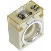 Hella Fuse 58V 100A Pack 1x 8JS747876021