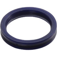 Faster Seal ring for FFH-06-M SKFFH06