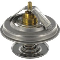 Fendt (AGCO) Thermostat F824200050060