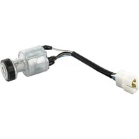 Castelgarden Ignition switch 1184500751