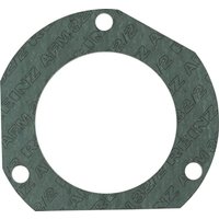 Fendt (AGCO) Exhaust Gasket 385202100030