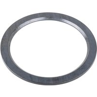Carraro Seal ring CI115777
