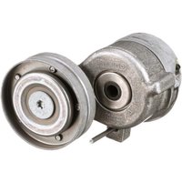 FPT Industrial Belt tensioner 500350419FPT