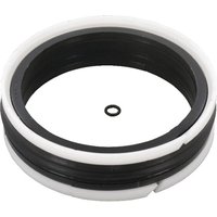 Hallite Piston seal 100x82x22.5/3.6mm ZA10082224DBM
