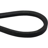 Agria V-belt AGW48973