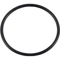 New Holland (CNH) Sealing ring 14458180